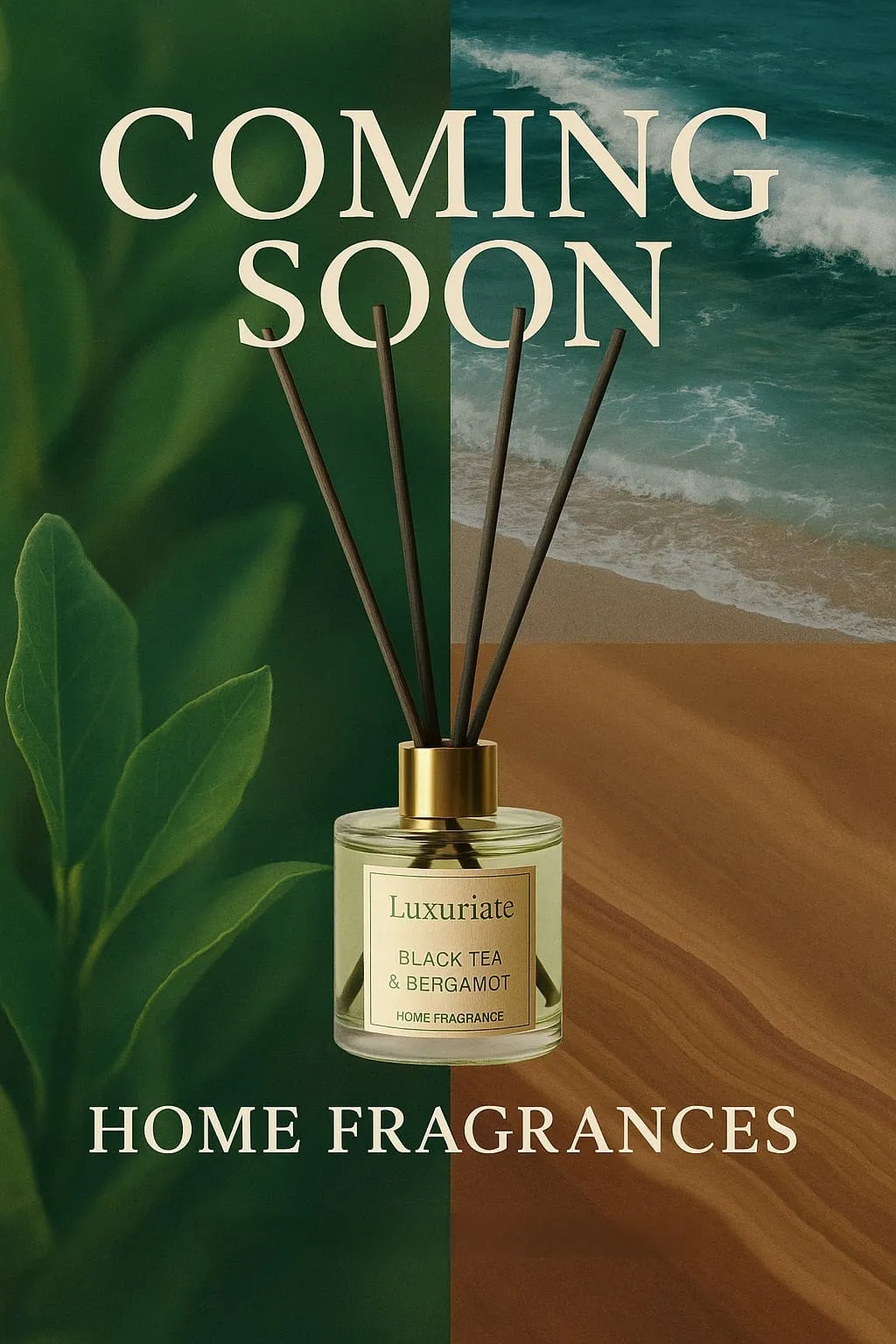 Coming Soon
